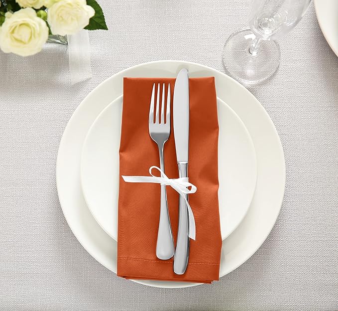 Embroidered Everyday Napkins